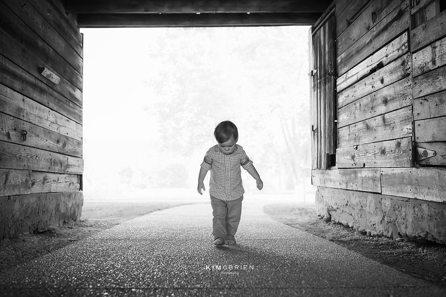 two years old ~ raleigh nc child photographer