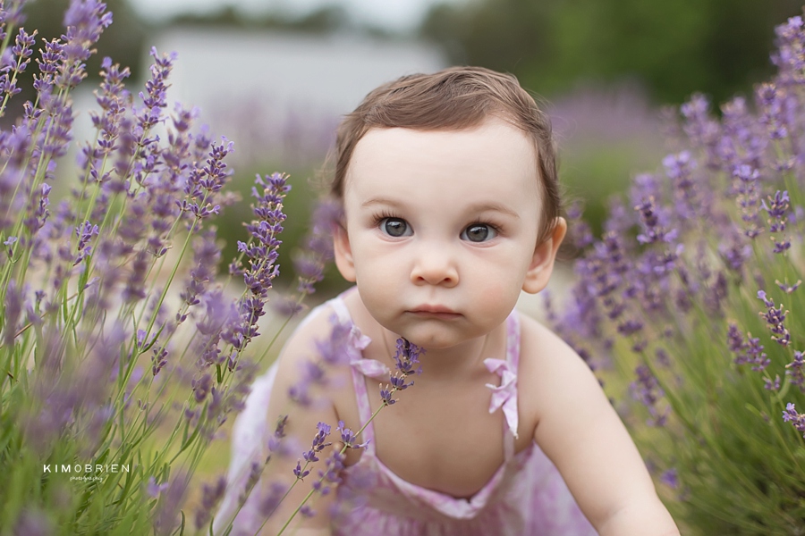 lavender farm baby photo session ~ cary nc baby photographer