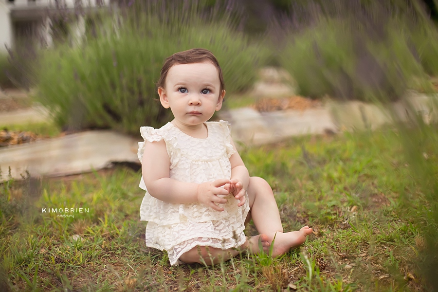 lavender farm baby photo session ~ cary nc baby photographer