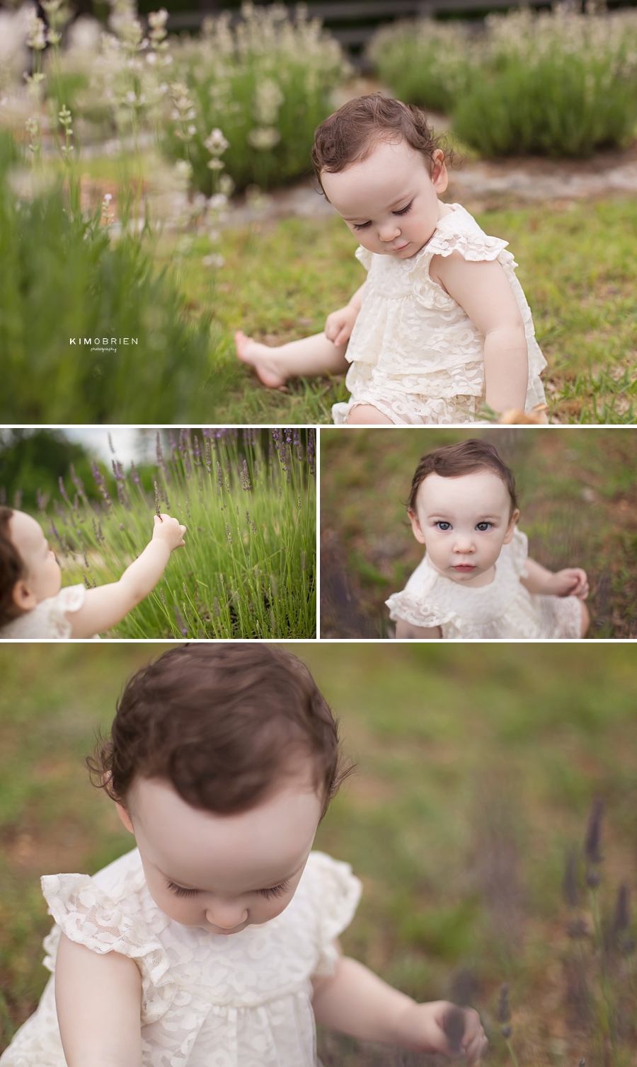 lavender farm baby photo session ~ cary nc baby photographer