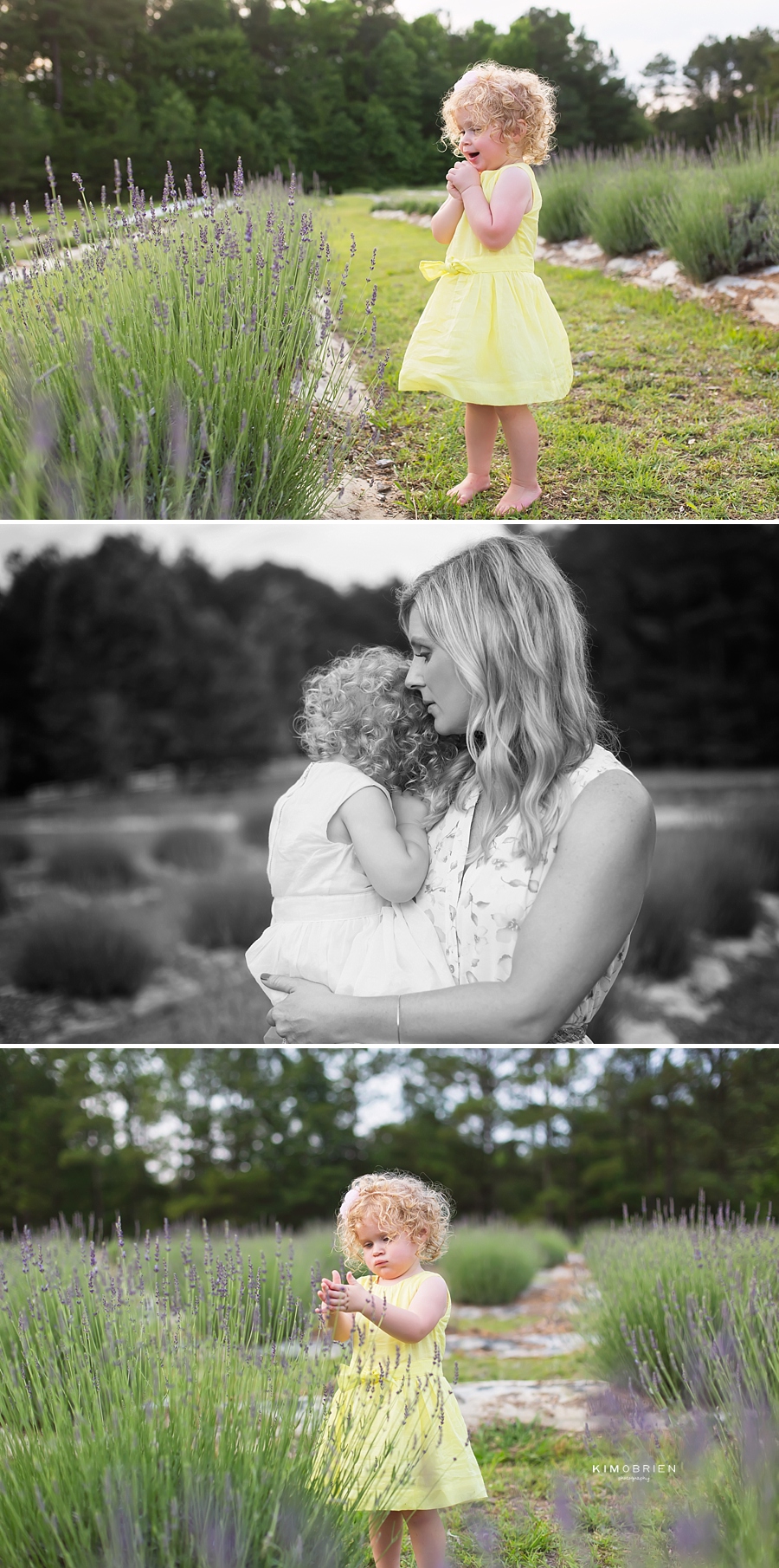 lavender farm family session