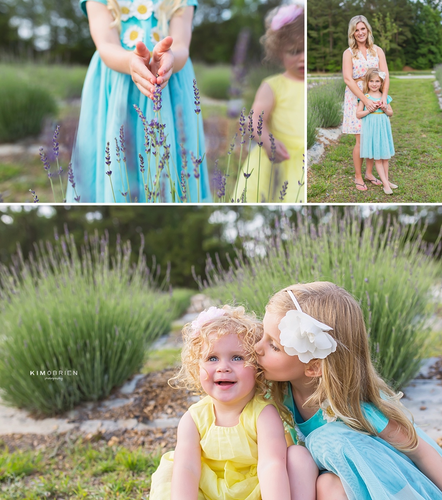 lavender farm family session