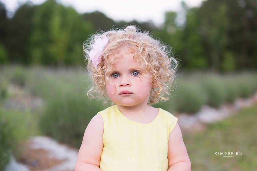 lavender farm family session