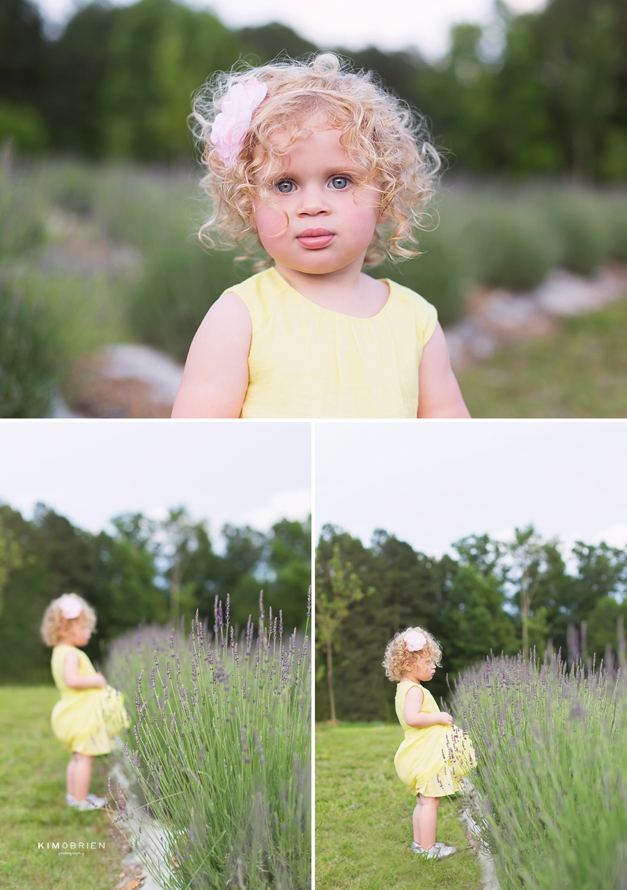 lavender farm family session