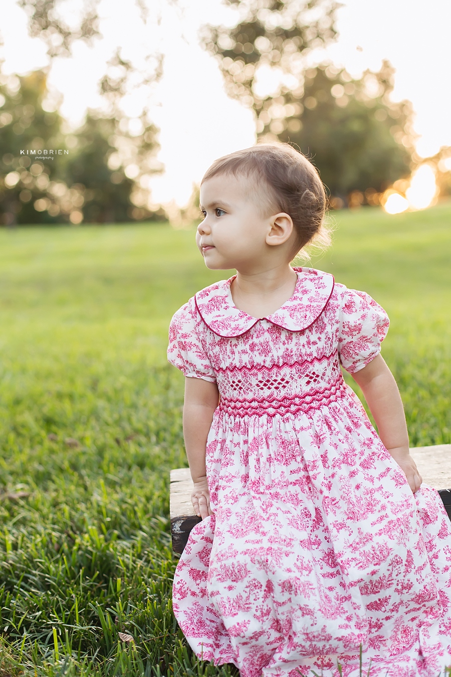 vintage stylized family photo session - Raleigh NC family photographer