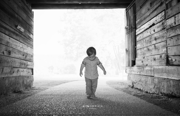two year old photo session ~ raleigh nc child photographer