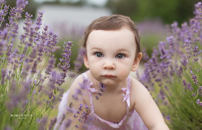 lavender farm baby photo session ~ cary nc baby photographer